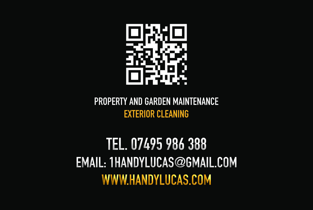 BUSINESS CARDS BURTON